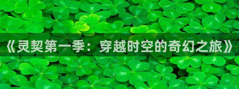 动漫岛啪漫：《灵契第一季：穿越时空的奇幻之旅》